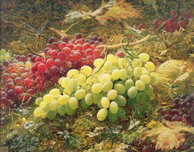 Grapes by William Jabez Muckley